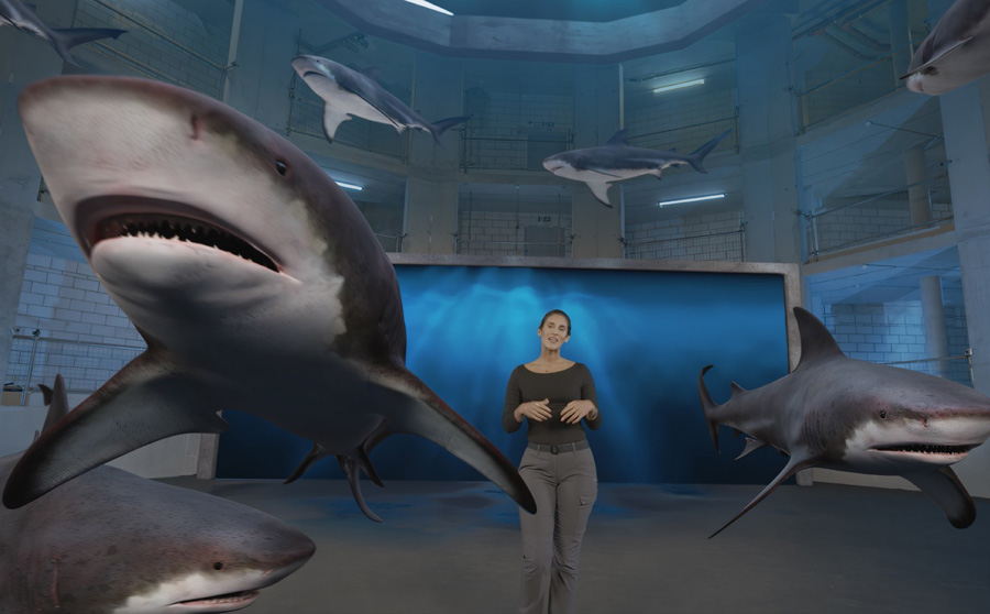 Ultimatte Transforms Visual Effects for Shark Attack 360