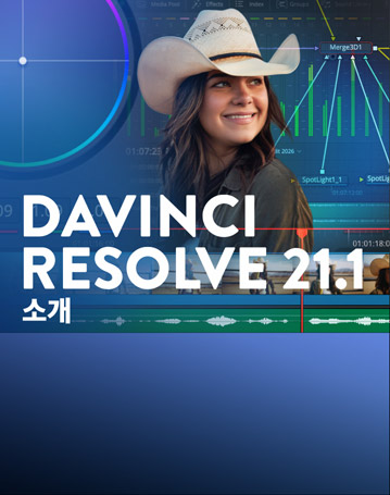 DaVinci Resolve 21.1
