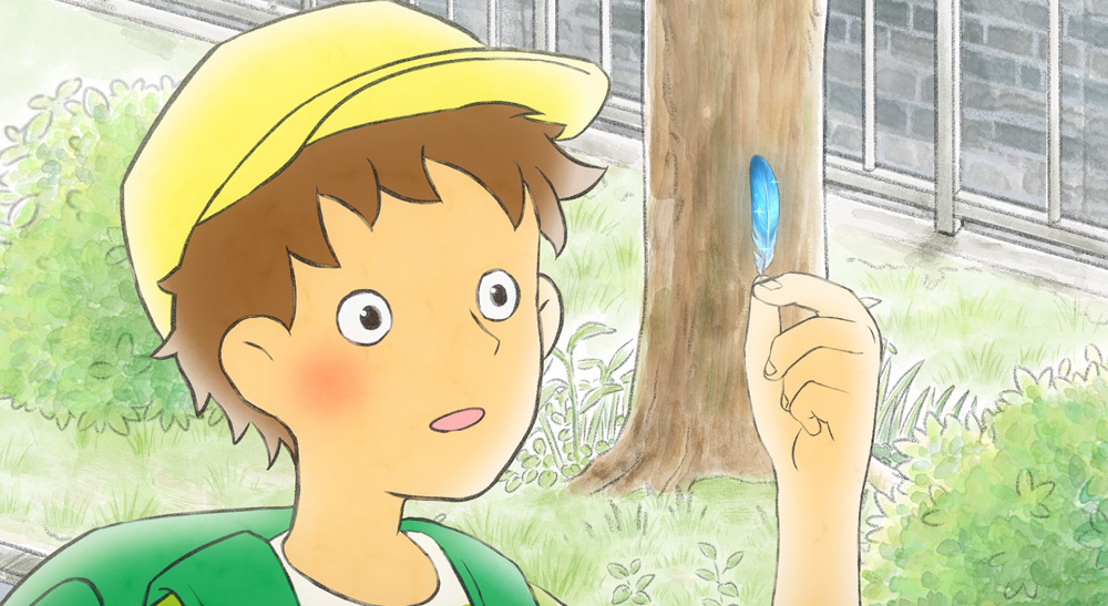 Media Blackmagic Design Media Blackmagic Design