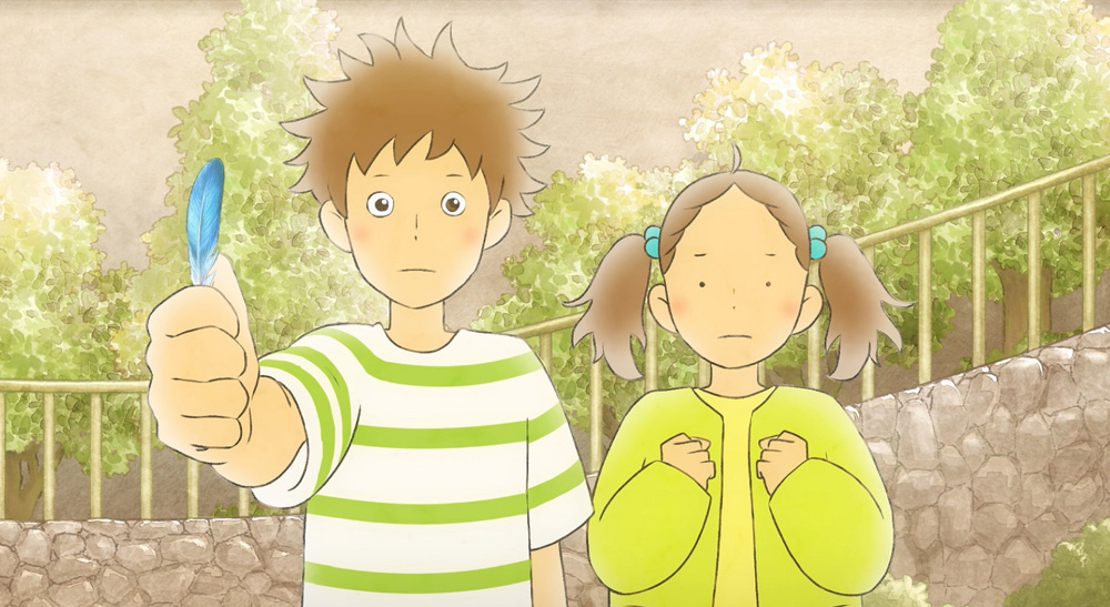 Media Blackmagic Design Media Blackmagic Design