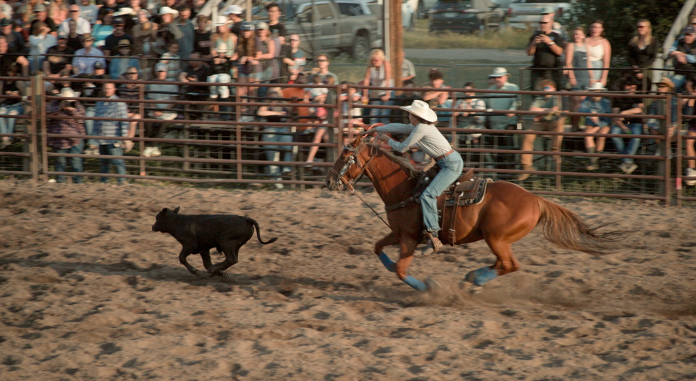 Media | Blackmagic Design