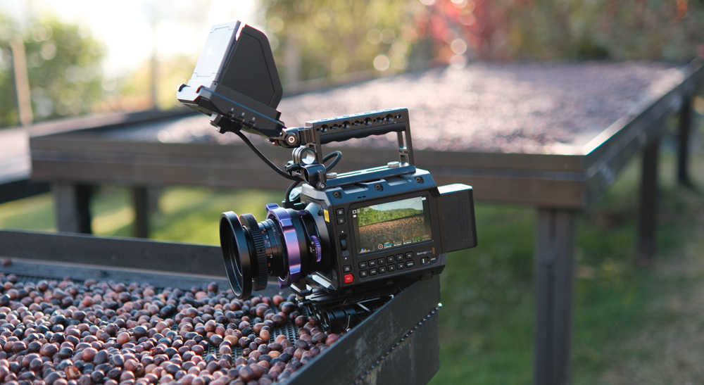 Media | Blackmagic Design