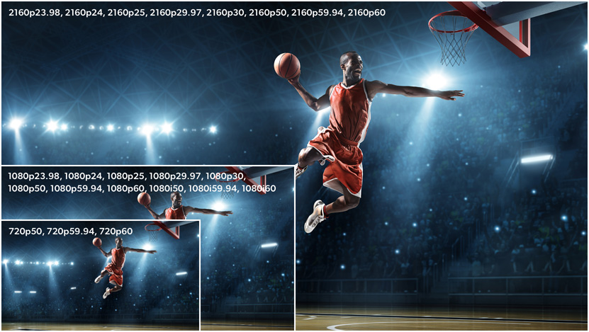 12G-SDI đa tốc độ cho các tiêu chuẩn video HD