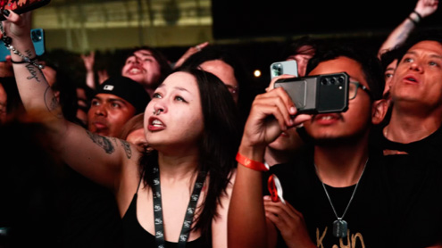 View From The Moshpit