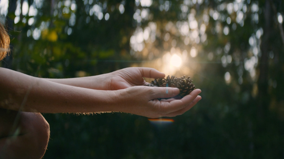 Collecting Pine Cones in anamorphic