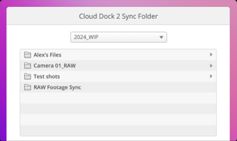 Set Sync Folders