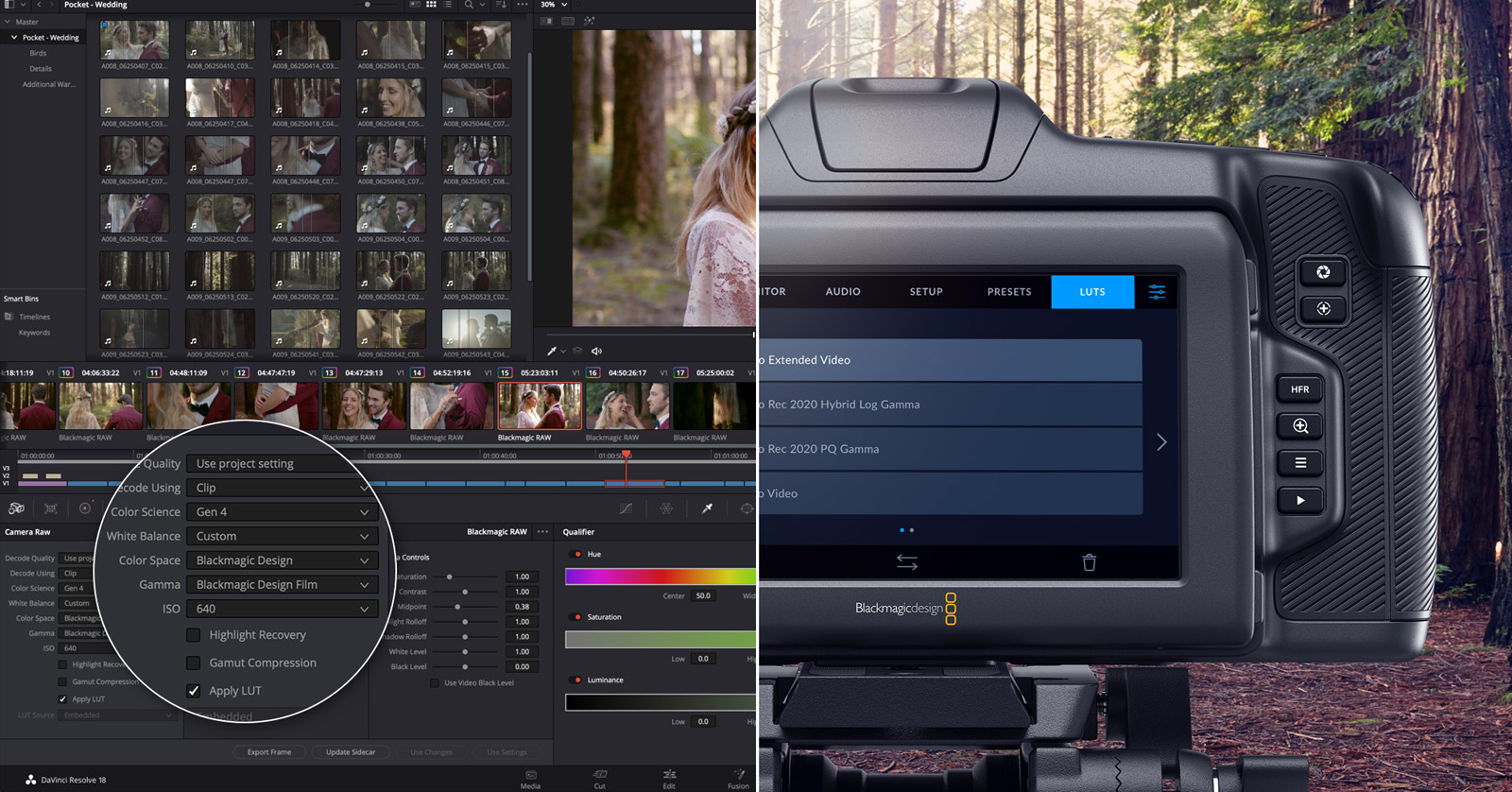 how much is davinci resolve studio 17