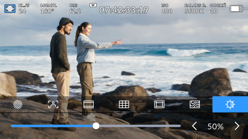 Screen Brightness