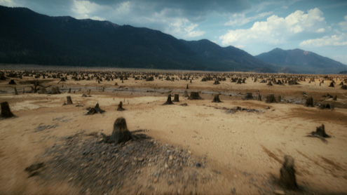 Tree Stump Lake