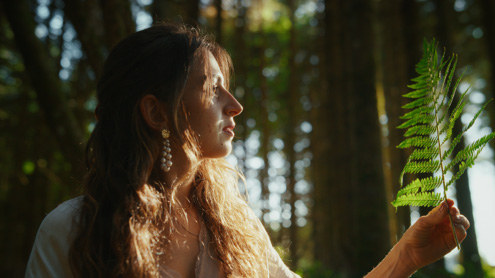 In the Forest