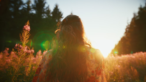 Summer’s Evening