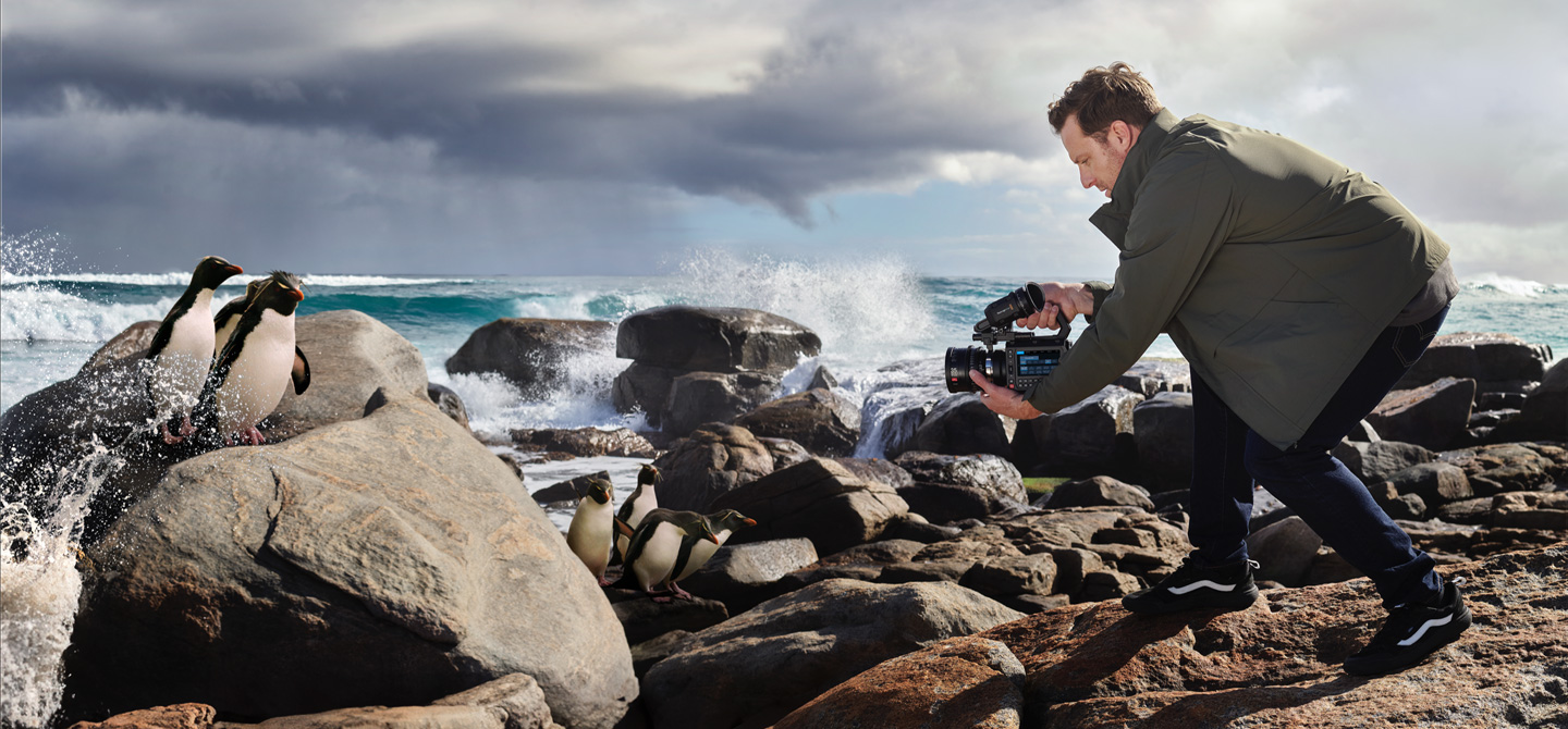 Shoot Still Framesup to 21.2 Megapixels!