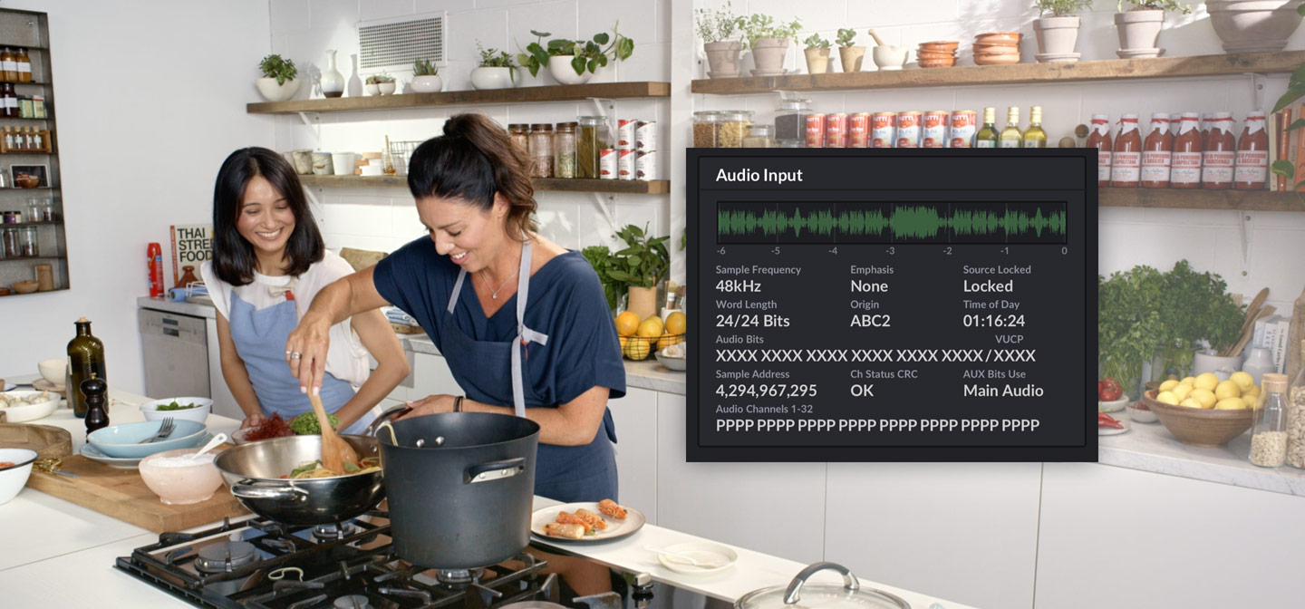 Audio Input Status