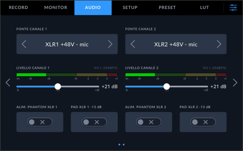 Audio Inputs and Monitoring