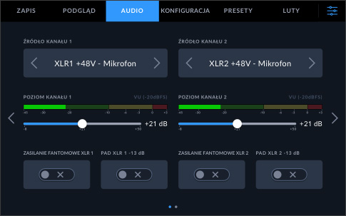 Audio Inputs and Monitoring