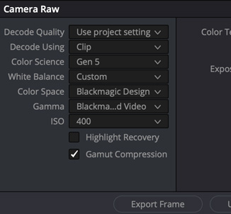 Camera Metadata