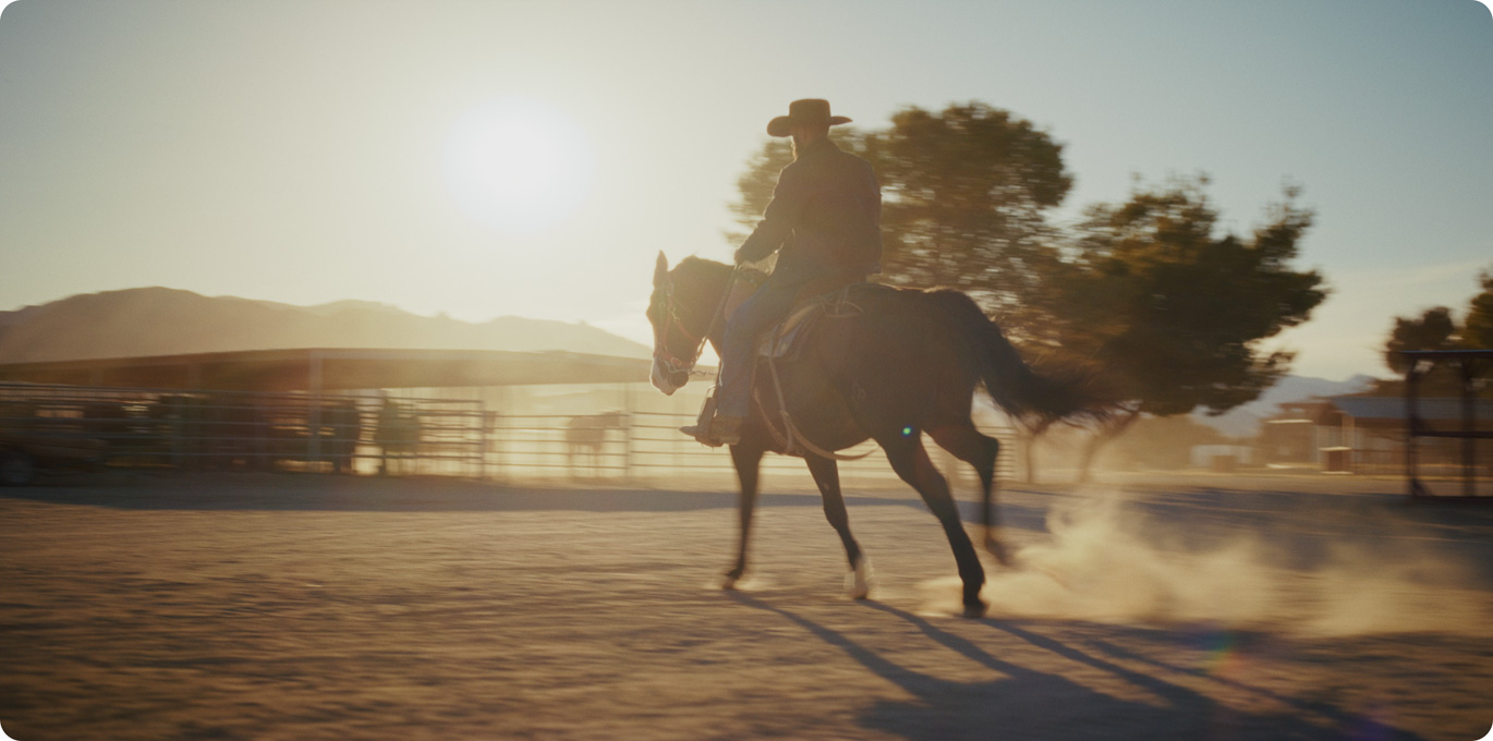 Flexible for Feature Film Workflows