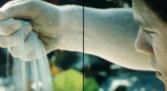 Descargar RAW clip de muestra sin calificar 2