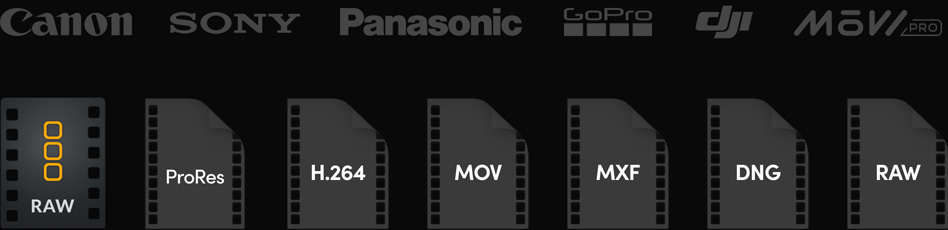 File Icons