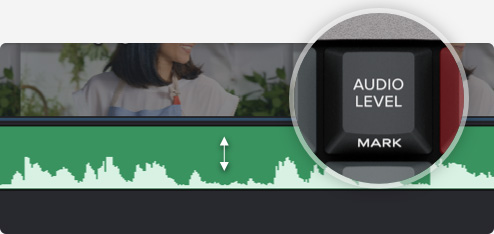 Audio Level and Markers