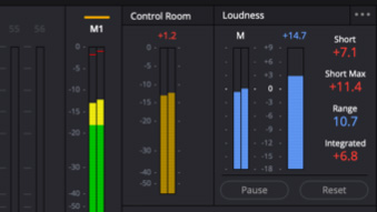 Enhanced Loudness Monitoring