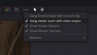 Gang Viewer Zoom to SDI Output