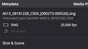 Metadata