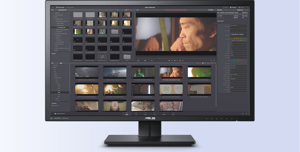 what file types does davinci resolve support