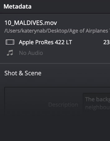 davinci resolve 17 zoom in on clip