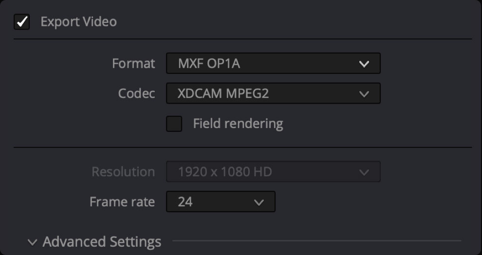 davinci resolve 17 supported codecs