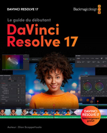 The Beginner's Guide to DaVinci Resolve 17