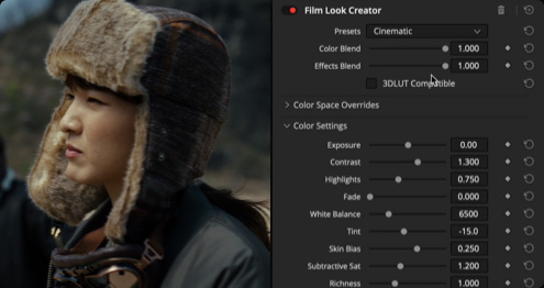 Blackmagic Design DaVinci Resolve Studio 20.0.0.23 beta 1 WIN Full Version Free Download Film Look Creator