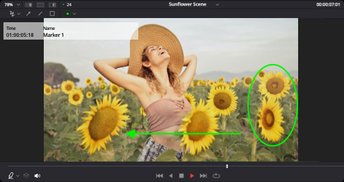 Blackmagic Design DaVinci Resolve Studio 20.0.0.23 beta 1 WIN Full Version Free Download Marker Overlays and Annotations