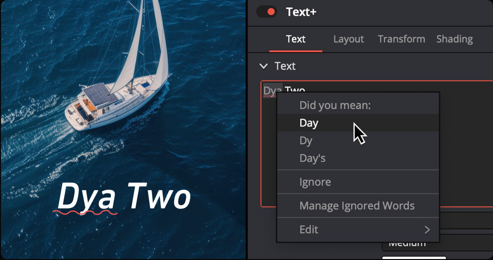 Text+ and MultiText