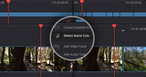 Scene Cut Detection