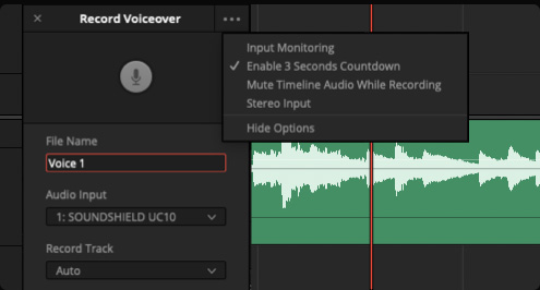 Voice over tool with record and monitor options