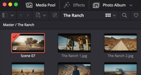 Organize Images in Albums