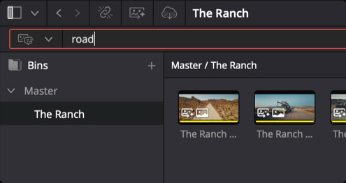Instantly Search Entire Library