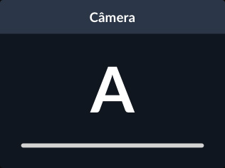 Camera Number