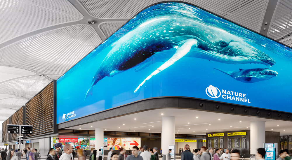 Includes 1G Ethernet.