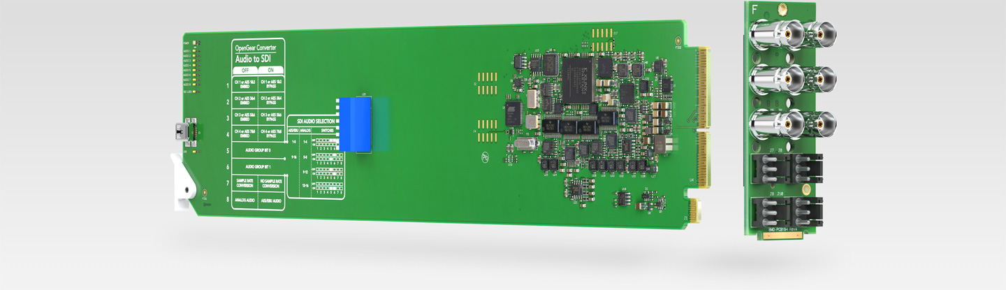 Redundant SDI Input