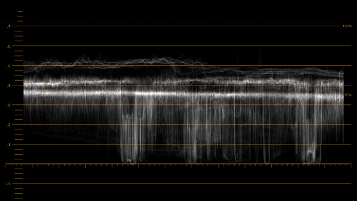 Professional Waveform Monitor